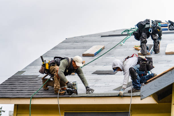 Professional Gutter Installation technician working in Zimmerman, MN